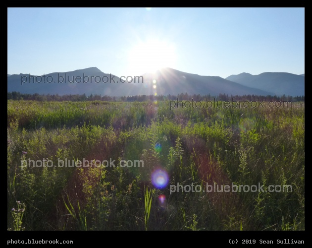 Late Afternoon in July - Lee Metcalf National Wildlife Refuge, Stevensville MT