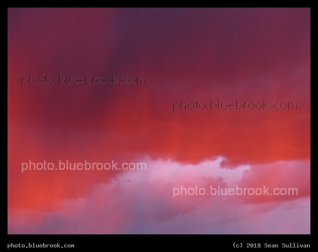 Vivid - Corvallis MT