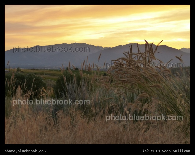 Amber Sky - Corvallis MT