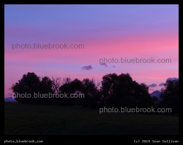 Pink and Blue Stripes - Corvallis MT