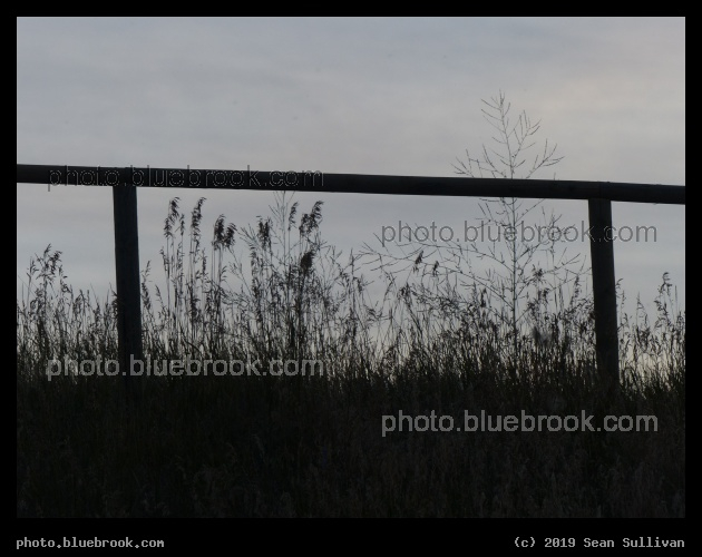 New Fenceline - Corvallis MT