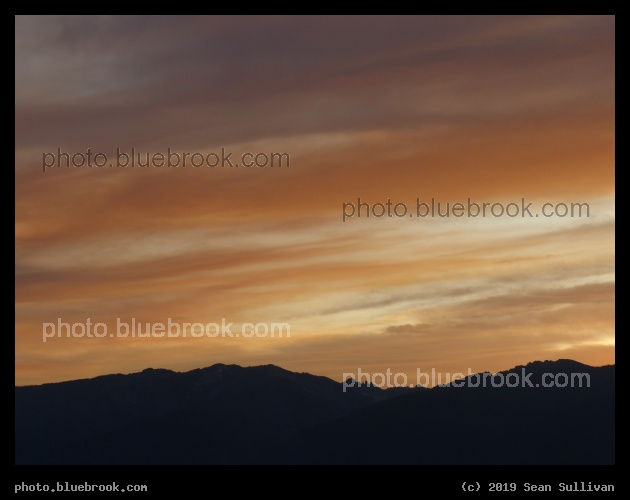 Orange Streaks - Corvallis MT