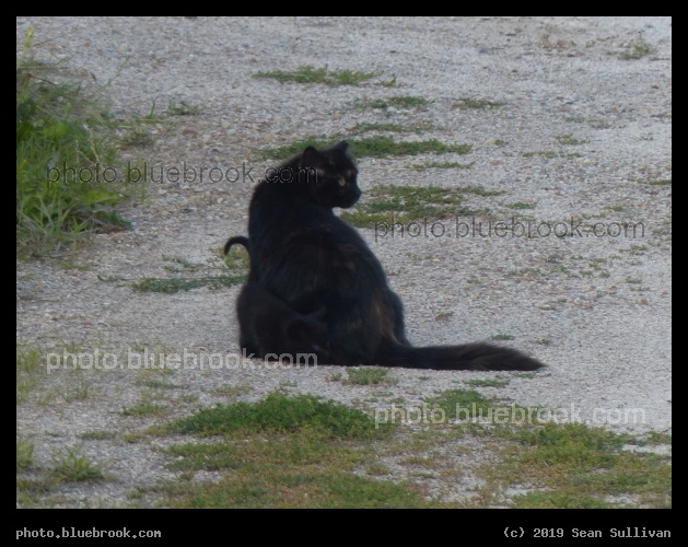 Look Twice - Corvallis MT
