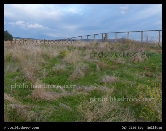Autumn Growth - Corvallis MT