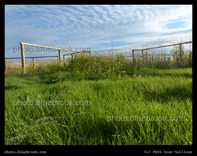Sky Ripples - Corvallis MT