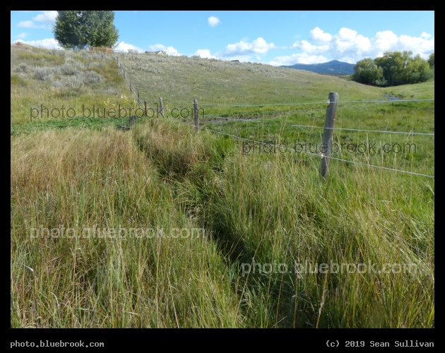 Swoosh of Fenceline - Corvallis MT