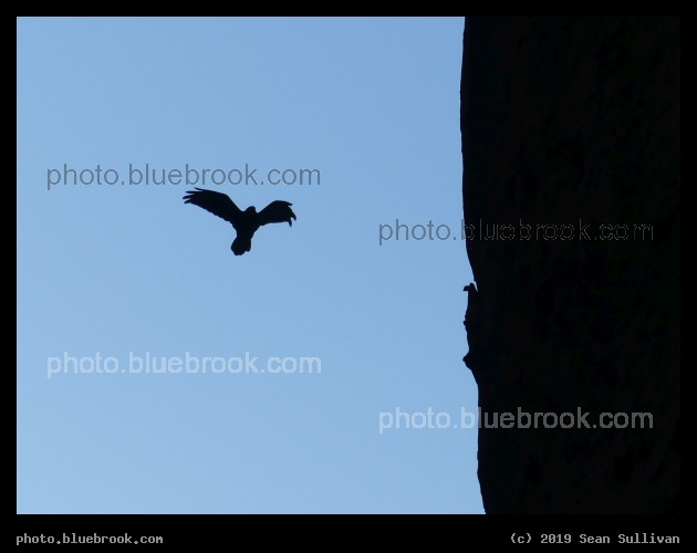 Cliffside Flight - Grand Wash, Capitol Reef National Park, Utah
