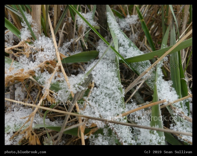 November Crystals - Corvallis MT