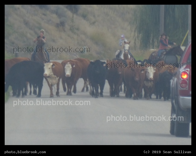 Montana Road - Corvallis MT
