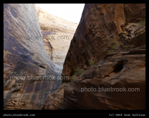 Walls of the Grand Wash - Grand Wash, Capitol Reef National Park, Utah