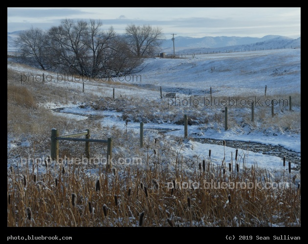 Late November Dusting - Corvallis MT