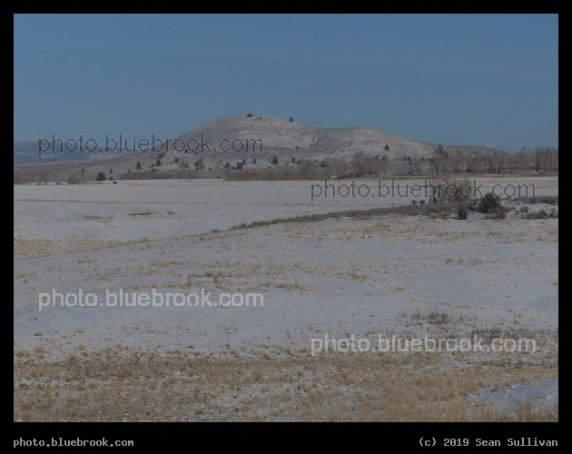 Dusting on Field and Hill - Corvallis MT