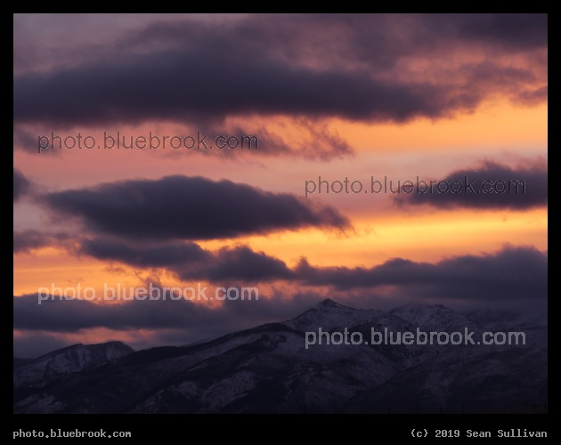Apricot and Lavender Sky - Corvallis MT