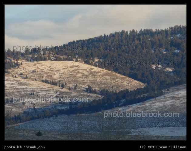 Lightly Dusted Hills - Corvallis MT