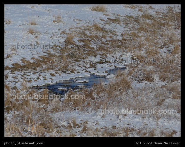Patch of Water in the Snow - Corvallis MT