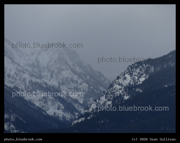 Bitterroots in Winter Mist - Corvallis MT