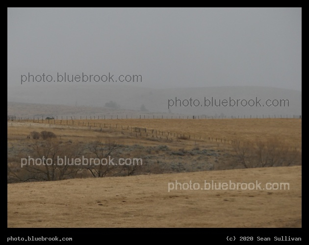 Golden Winters Day - Corvallis MT
