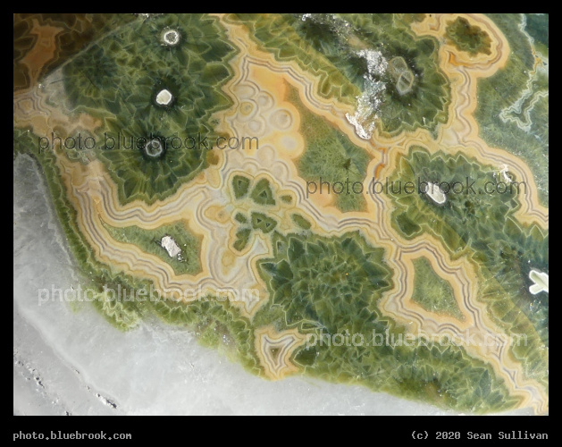 Ocean Jasper Roadmap - Corvallis MT
