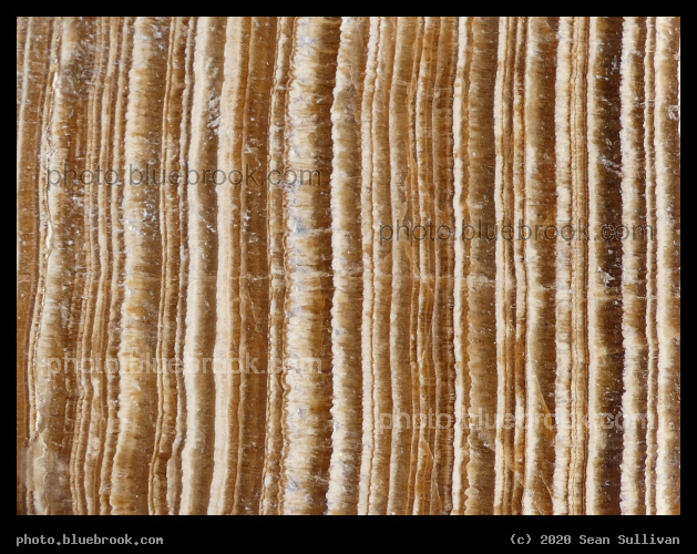 Banded Aragonite Detail - Corvallis MT