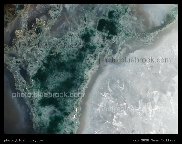 Moss Agate Detail - Corvallis MT