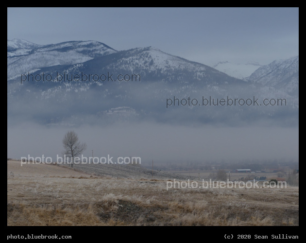 Misty Morning Pastures & Mountains - Corvallis MT