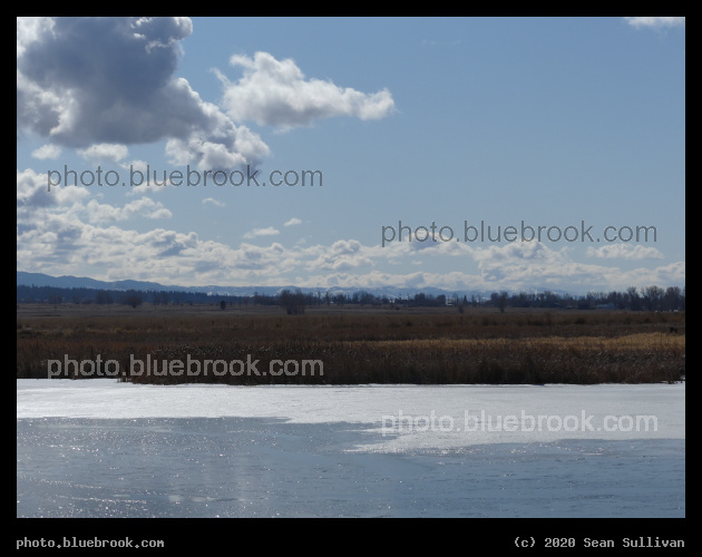 Receeding Ice on a Pond - Lee Metcalf National Wildlife Refuge, Stevensville MT