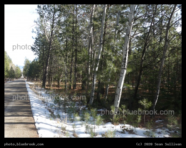 Edge of Winter - Stevensville MT