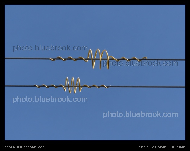 Spirals - Stevensville MT