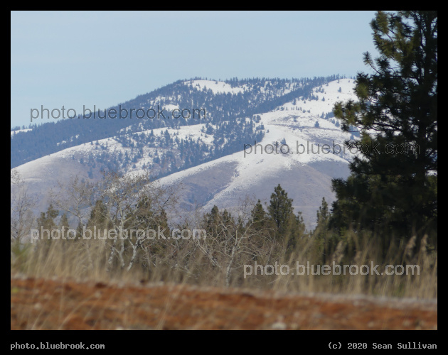 Depths - Stevensville MT