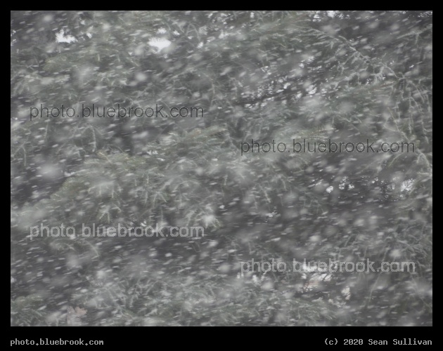 April Snow Showers - Corvallis MT