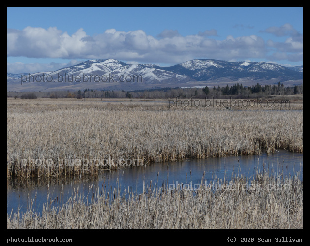 Stripes of Water - Lee Metcalf National Wildlife Refuge, Stevensville MT