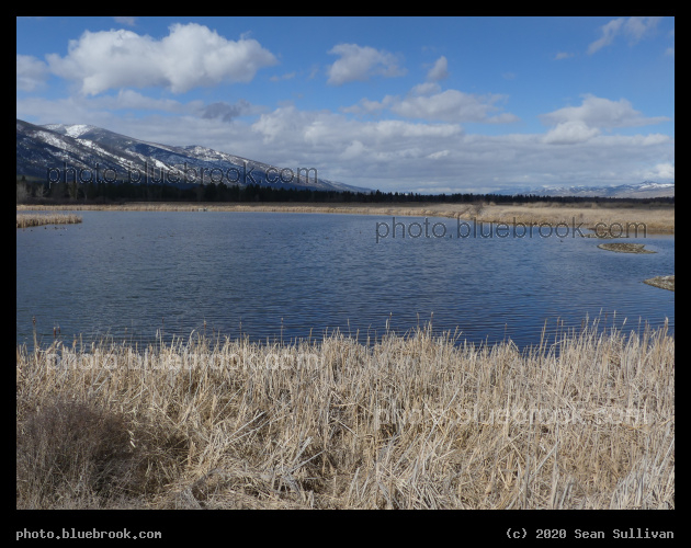 Spring Creek in Early March - Lee Metcalf National Wildlife Refuge, Stevensville MT