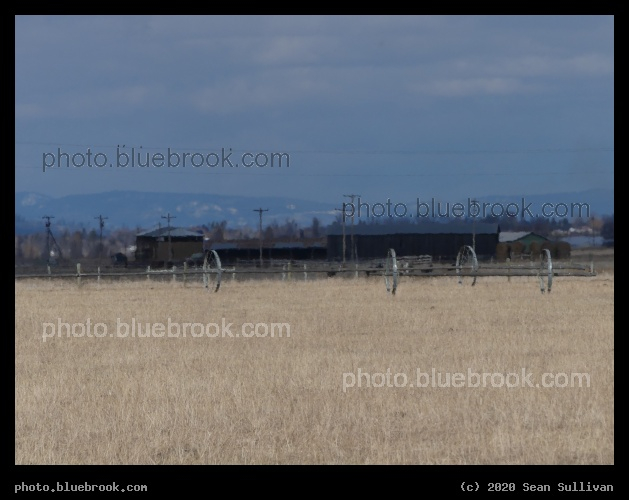 Irrigation Wheels in the Distance - Corvallis MT