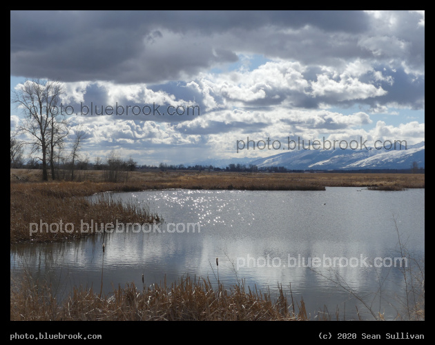 Sparkles on the Water - Lee Metcalf National Wildlife Refuge, Stevensville MT