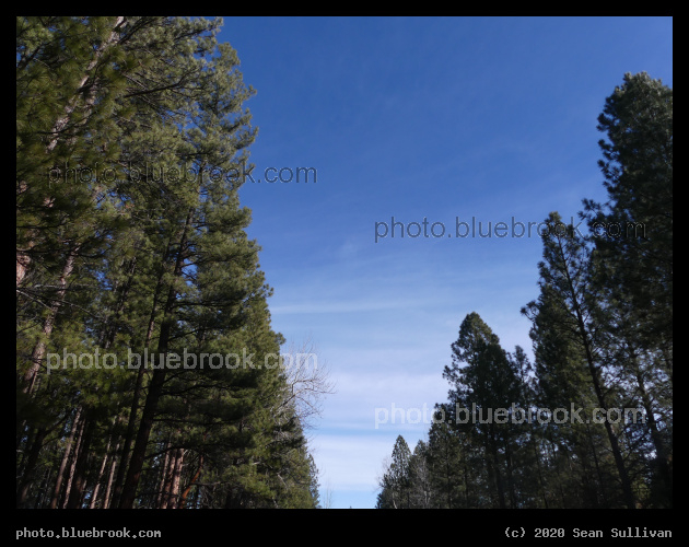 Above a Road - Stevensville MT