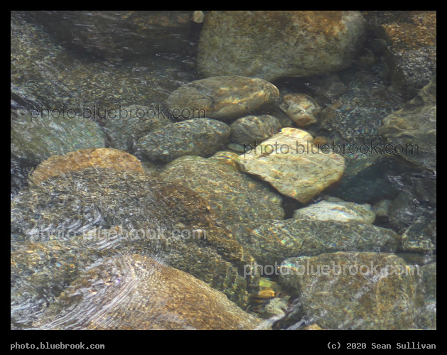 Ripples in Kootenai Creek - Kootenai Creek, Stevensville MT