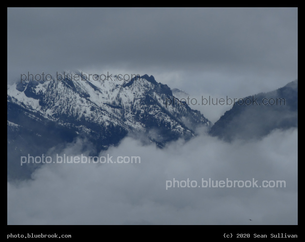 Bitterroots in the Clouds - Corvallis MT