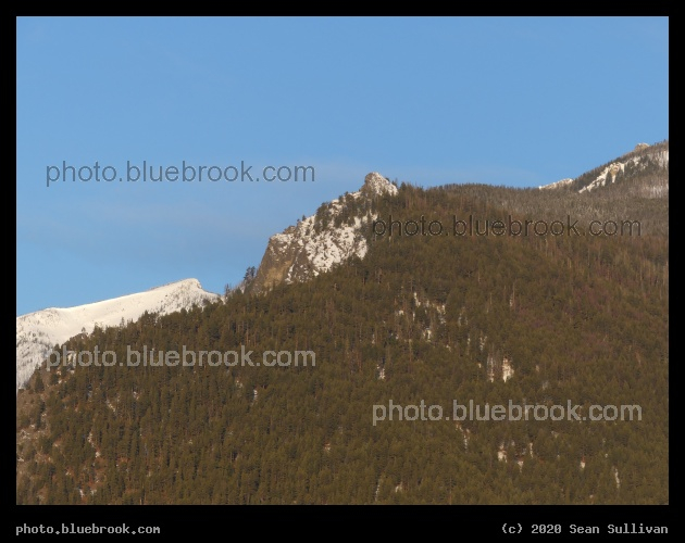 Snow behind Trees - Bitterroot Mountains, Stevensville MT