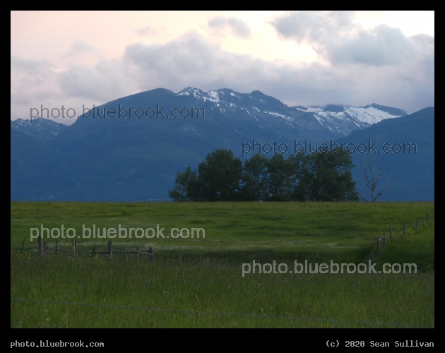 Pastures, Trees and Mountains - Corvallis MT