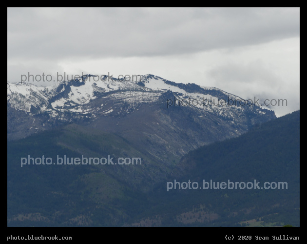 June Snow above Green Forests - Corvallis MT