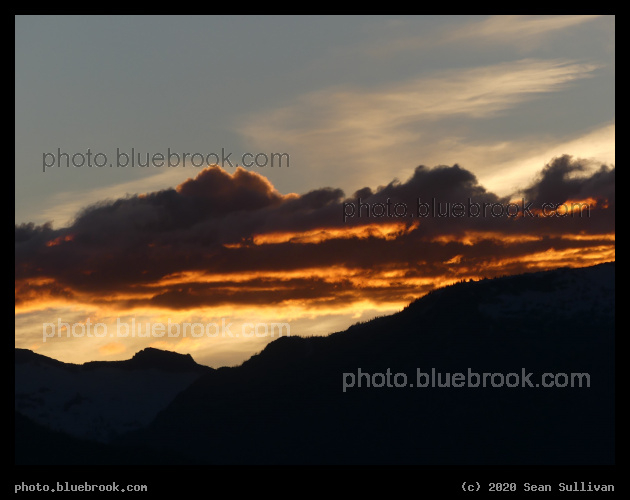 Orange Stripes - Corvallis MT