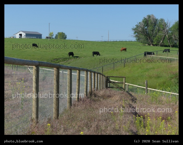Patchwork of Pastures - Corvallis MT