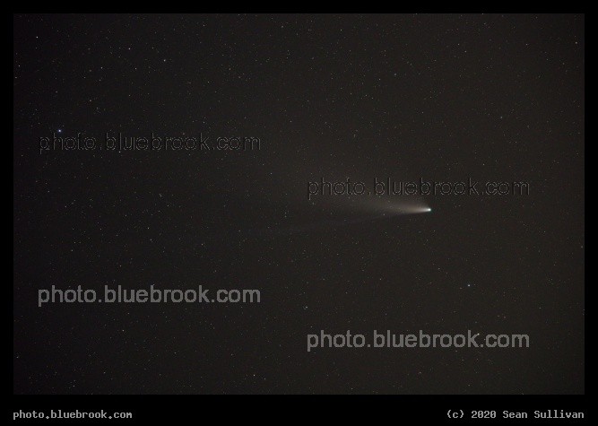 Ion and Dust Tails - Ion tail (straight) and dust tail (brighter and curved), Comet NEOWISE, Corvallis MT