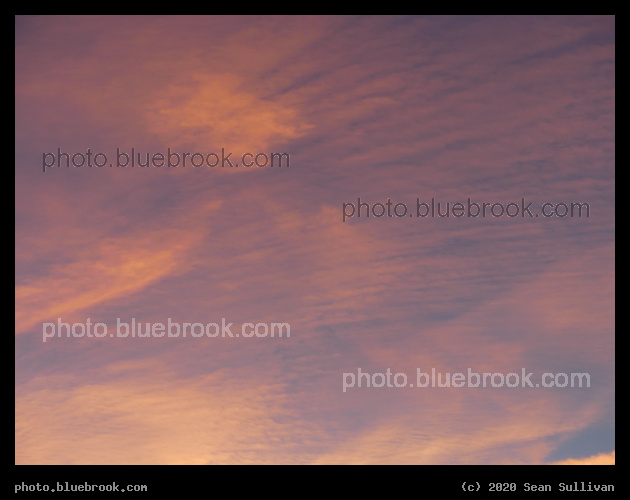 Pink Ripples - Corvallis MT
