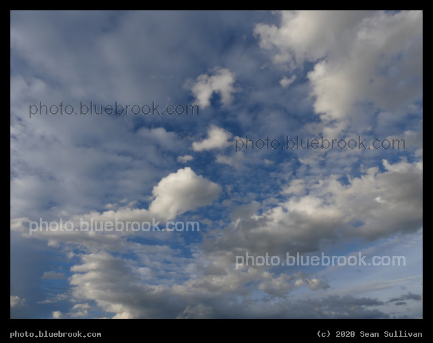 Sky with Puffy Clouds - Corvallis MT