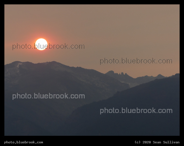 Orange Star - Corvallis MT