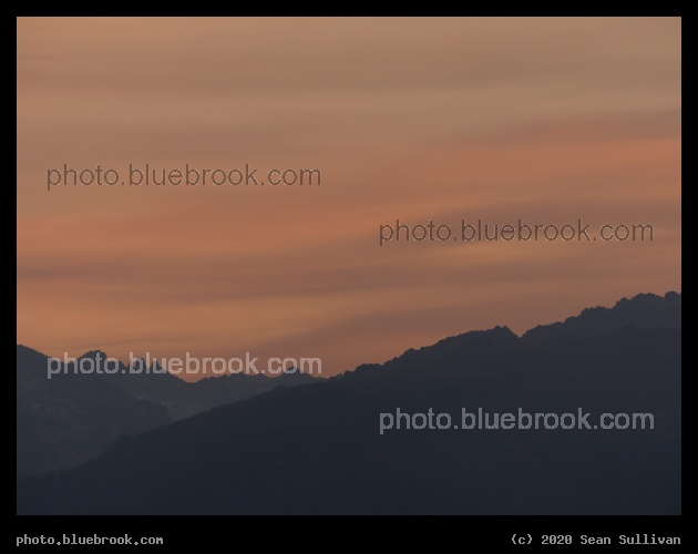 Dusky Sky - Corvallis MT