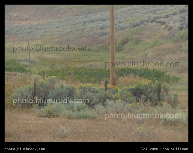 Western Rural Landscape - Corvallis MT