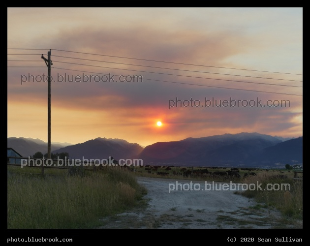 Cloud of Purple Haze - Corvallis MT
