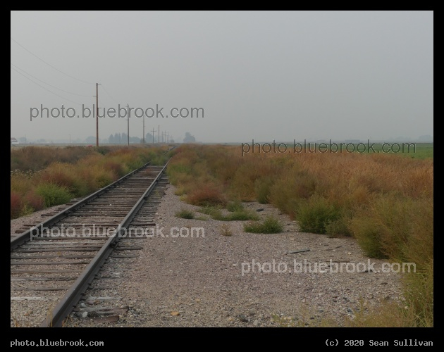 Train Footprints - Corvallis MT